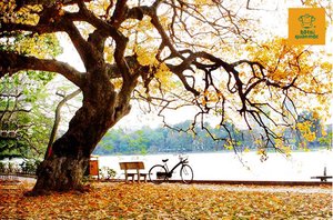 Hà Nội tháng 11 và những điều bạn không thể bỏ lỡ